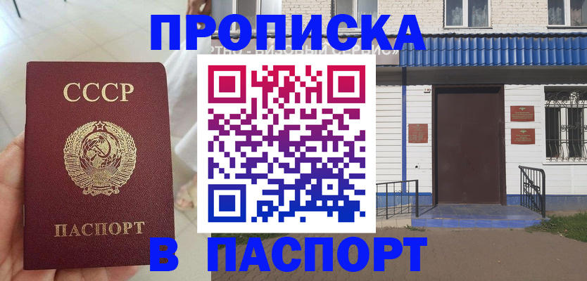 прописка для школы в Мурманске
